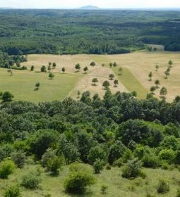 Szár-hegyi kilátó