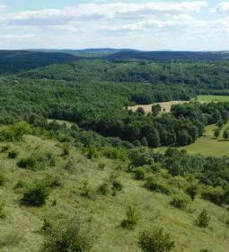 Szár-hegyi kilátó