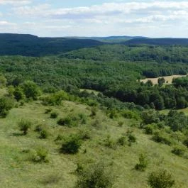 Szár-hegyi kilátó Ugod - Egyéb