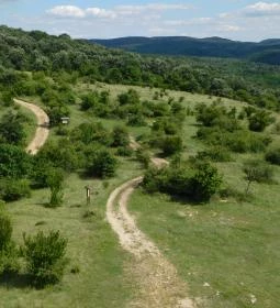 Szár-hegyi kilátó