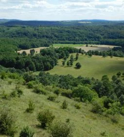 Szár-hegyi kilátó