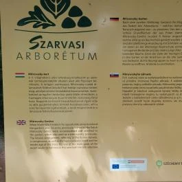 Szarvasi Arborétum, Szarvas - Egyéb