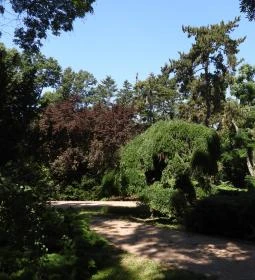 Szarvasi Arborétum