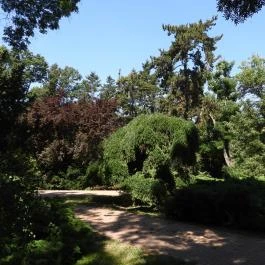Szarvasi Arborétum, Szarvas - Külső kép