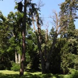 Szarvasi Arborétum, Szarvas - Külső kép