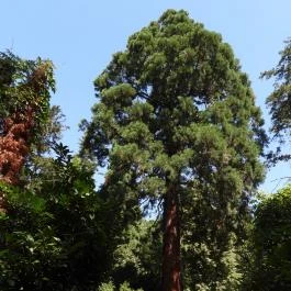 Szarvasi Arborétum, Szarvas - Külső kép