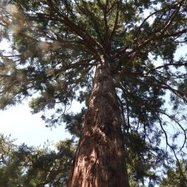 Szarvasi Arborétum, Szarvas - Külső kép