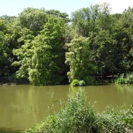 Szarvasi mocsárciprusok, Szarvas - Külső kép