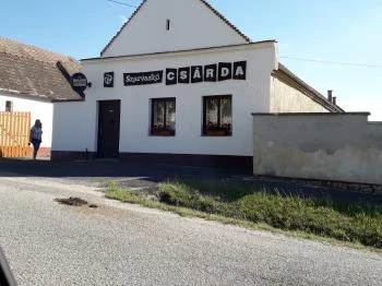 Szarvaskő Csárda Döbrönte