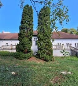 Szász Endre Kastélymúzeum - Várda