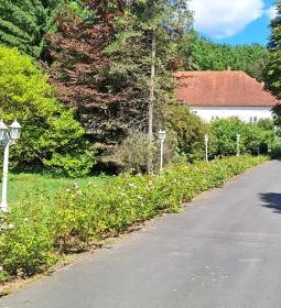 Szász Endre Kastélymúzeum - Várda