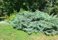 Szász Endre Kastélymúzeum - Várda Várda