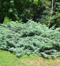 Szász Endre Kastélymúzeum - Várda