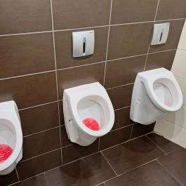 Szász Söröző & Étterem, Szekszárd - Mosdó