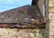 Szathmáry Király-kastély Boldva