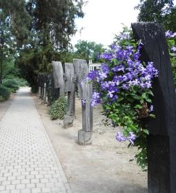 Szatmárcsekei csónakos fejfás református temető