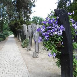 Szatmárcsekei csónakos fejfás református temető Szatmárcseke - Külső kép