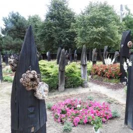 Szatmárcsekei csónakos fejfás református temető Szatmárcseke - Külső kép