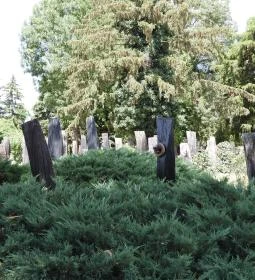 Szatmárcsekei csónakos fejfás református temető