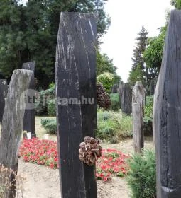 Szatmárcsekei csónakos fejfás református temető