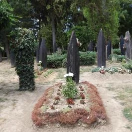 Szatmárcsekei csónakos fejfás református temető, Szatmárcseke - Külső kép