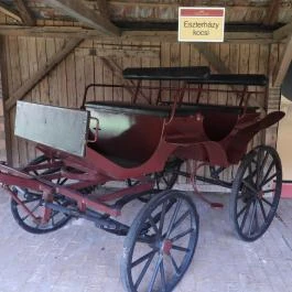 Szatmári Múzeum Mátészalka - Egyéb