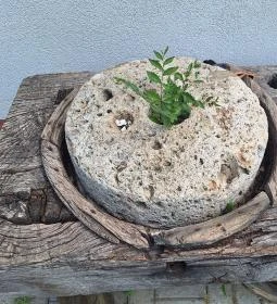 Százéves víztorony & tájház