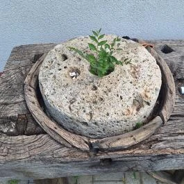 Százéves víztorony & tájház Tiszaszőlős - Egyéb