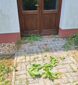 Százéves víztorony & tájház