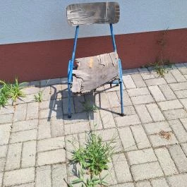 Százéves víztorony & tájház Tiszaszőlős - Egyéb