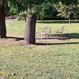 Széchenyi kastély Görgeteg - Egyéb