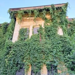 Széchenyi-kastély, Barcs - Külső kép