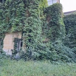 Széchenyi-kastély, Barcs - Egyéb