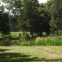 Széchenyi-Wenckheim kastélyrom Békéscsaba - Egyéb