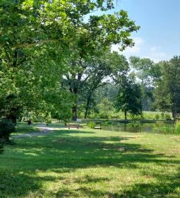 Széchenyi-Wenckheim kastélyrom