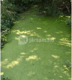 Széchenyi-Wenckheim kastélyrom