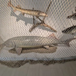 Széchenyi Zsigmond Kárpát-medencei Magyar Vadászati Múzeum, Hatvan - Belső