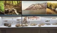 Széchenyi Zsigmond Kárpát-medencei Magyar Vadászati Múzeum, Hatvan
