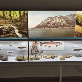 Széchenyi Zsigmond Kárpát-medencei Magyar Vadászati Múzeum, Hatvan - Belső