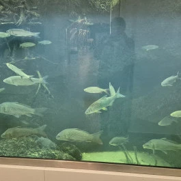 Széchenyi Zsigmond Kárpát-medencei Magyar Vadászati Múzeum, Hatvan - Belső