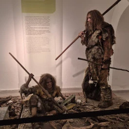 Széchenyi Zsigmond Kárpát-medencei Magyar Vadászati Múzeum, Hatvan - Belső