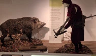 Széchenyi Zsigmond Kárpát-medencei Magyar Vadászati Múzeum, Hatvan