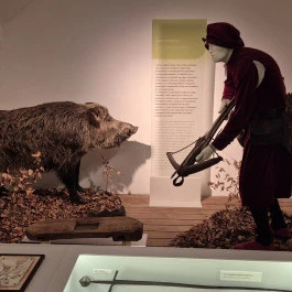 Széchenyi Zsigmond Kárpát-medencei Magyar Vadászati Múzeum, Hatvan - Belső