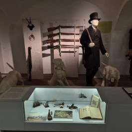 Széchenyi Zsigmond Kárpát-medencei Magyar Vadászati Múzeum, Hatvan - Belső