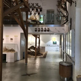 Széchenyi Zsigmond Kárpát-medencei Magyar Vadászati Múzeum, Hatvan - Belső
