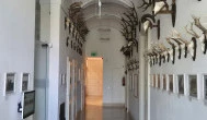 Széchenyi Zsigmond Kárpát-medencei Magyar Vadászati Múzeum, Hatvan