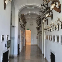 Széchenyi Zsigmond Kárpát-medencei Magyar Vadászati Múzeum, Hatvan - Belső