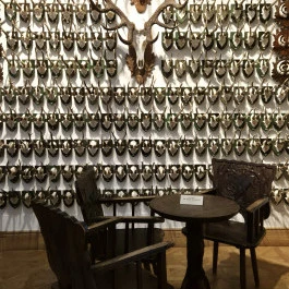 Széchenyi Zsigmond Kárpát-medencei Magyar Vadászati Múzeum, Hatvan - Belső