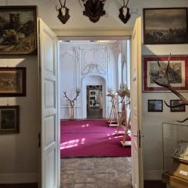 Széchenyi Zsigmond Kárpát-medencei Magyar Vadászati Múzeum, Hatvan - Belső