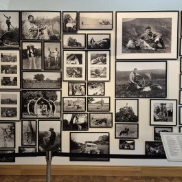 Széchenyi Zsigmond Kárpát-medencei Magyar Vadászati Múzeum, Hatvan - Belső